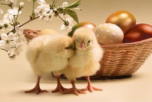 easter
