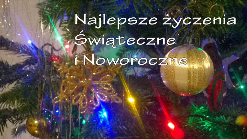 Choinka 2015 1